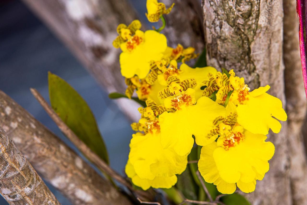 Suites Las Flores ماريسياز المظهر الخارجي الصورة