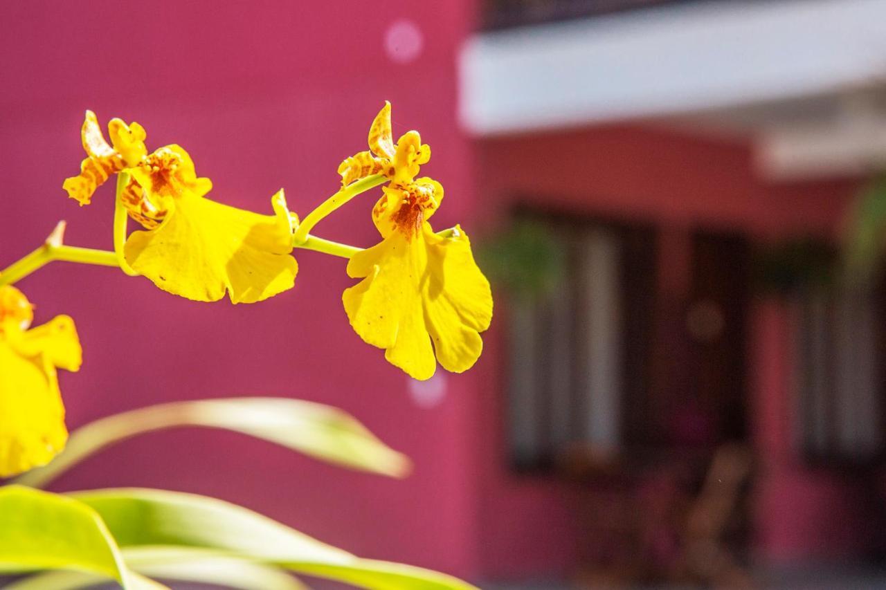 Suites Las Flores ماريسياز المظهر الخارجي الصورة